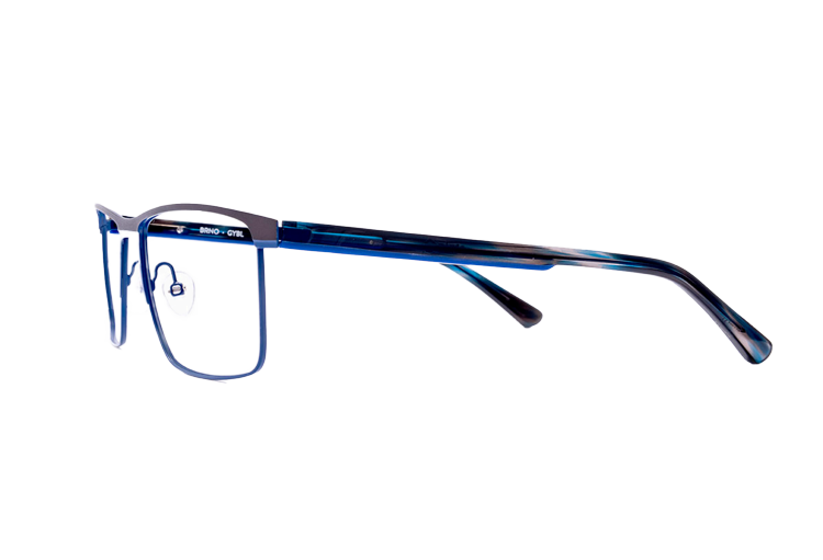 Alfa Vision Optika_Etnia Barcelona_Brno glasses