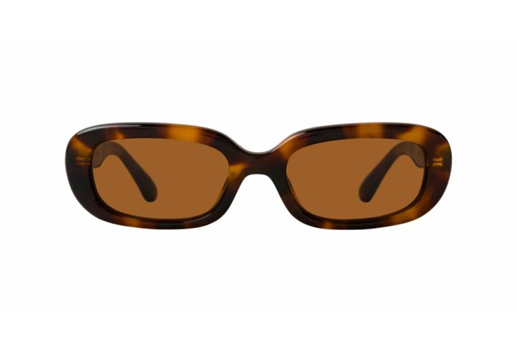 Suncane-naocale-Chimi-CMS12M-TORTOISE-Alfa-VIsion-Optika-(1)