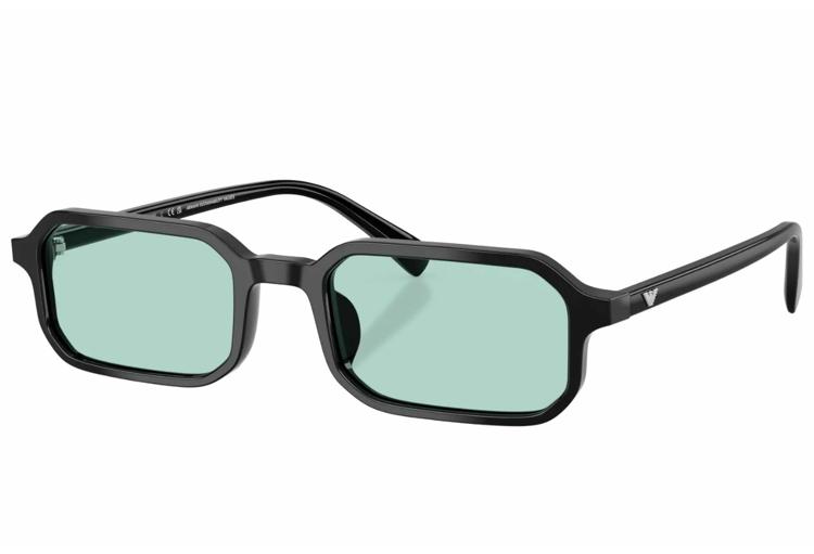 Suncane-naocale-Emporio-Armani-EA4253U-501765-54-Alfa-Vision-Optika-(1)
