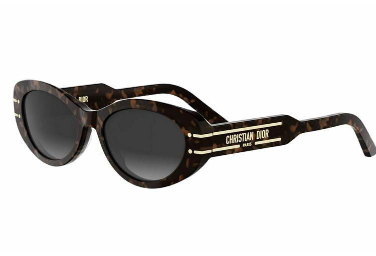 Suncane-naocale-Dior-CD40170UDIORSIGNATURE-B8U-24A1-Alfa-Vision-Optika-(1)