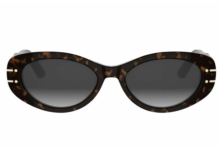 Suncane-naocale-Dior-CD40170UDIORSIGNATURE-B8U-24A1-Alfa-Vision-Optika-(2)