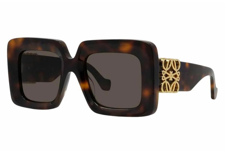 Suncane-naocale-Loewe-LW40176U-52e-Alfa-Vision-Optika-(5)